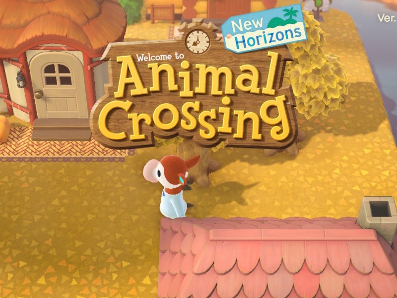 What I Learned Playing Animal Crossing: New Horizons for 600+&nbsp;Hours